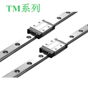 TBI微型直線導軌TM系列